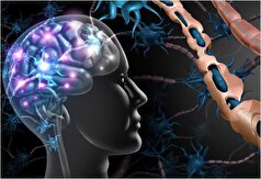 این ویژگی‌های شخصیتی افراد می‌تواند زمینه ساز ابتلا به‌ام اس شود