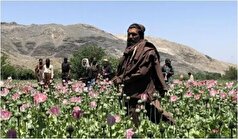 مواد تشکیل دهنده تریاک امروزی چه چیز‌هایی است؟