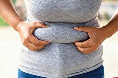 مشخص شد که چرا شکم با افزایش سن شروع به بزرگ شدن می‌کند