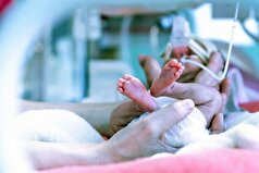 دانشمندان کشف کرده‌اند که نارس بودن، سال‌ها بر حافظه و گفتار کودک تأثیر می‌گذارد