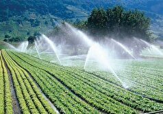 پیشتازی گلستان در تأمین بذر و کود با رشد ۵۱ درصدی