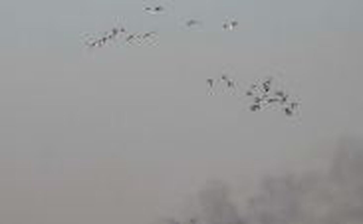 هوای هویزه همچنان «بسیار ناسالم» / وضعیت «قرمز» و «نارنجی» در ۱۱ شهر خوزستان