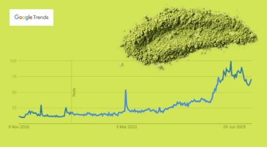 چگونه ماچا به محبوب‌ترین نوشیدنی جهان تبدیل شد؟