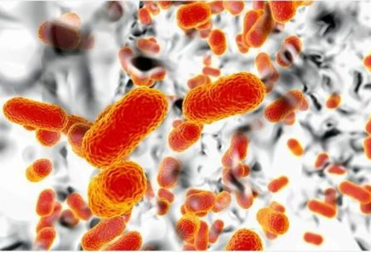 تبعات مرگبار مقاومت میکروبی با مصرف خودسرانه آنتی بیوتیک