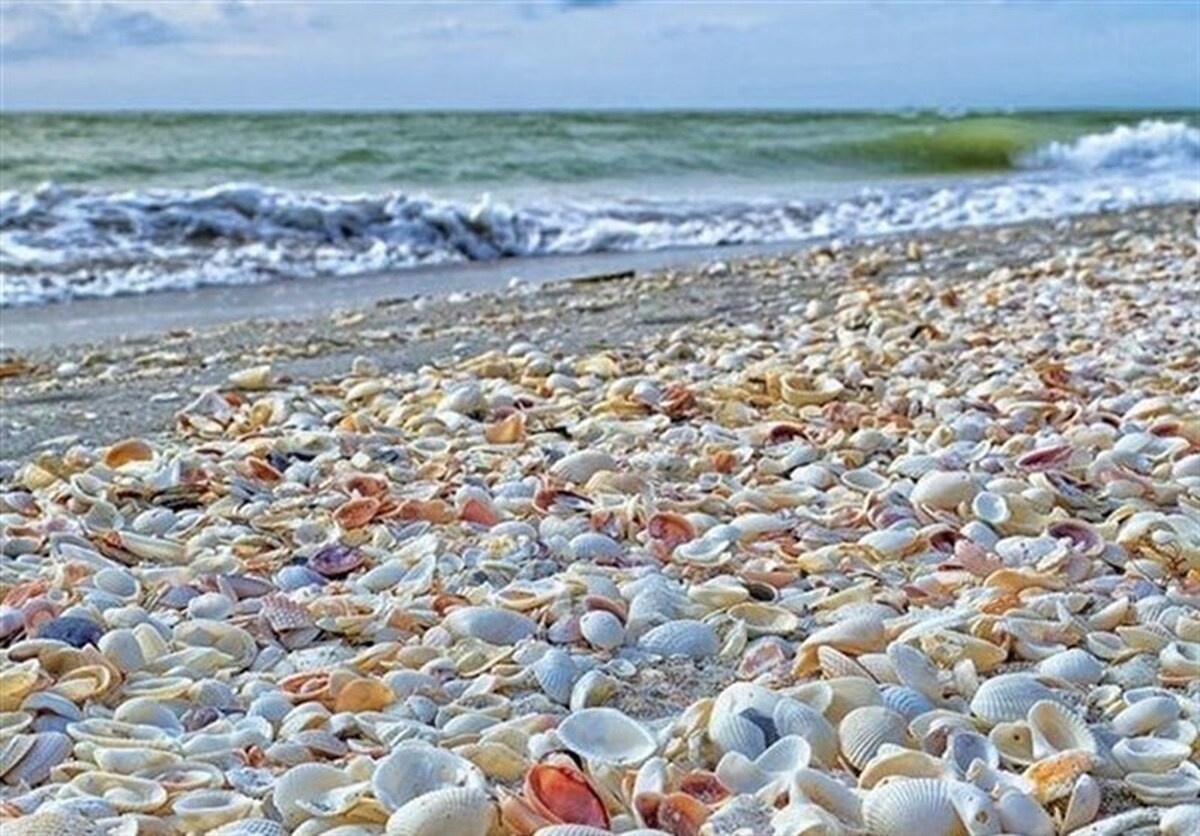 گفت‌و‌گو|آرامش نسبی جو و دریا در بوشهر تا پنجشنبه