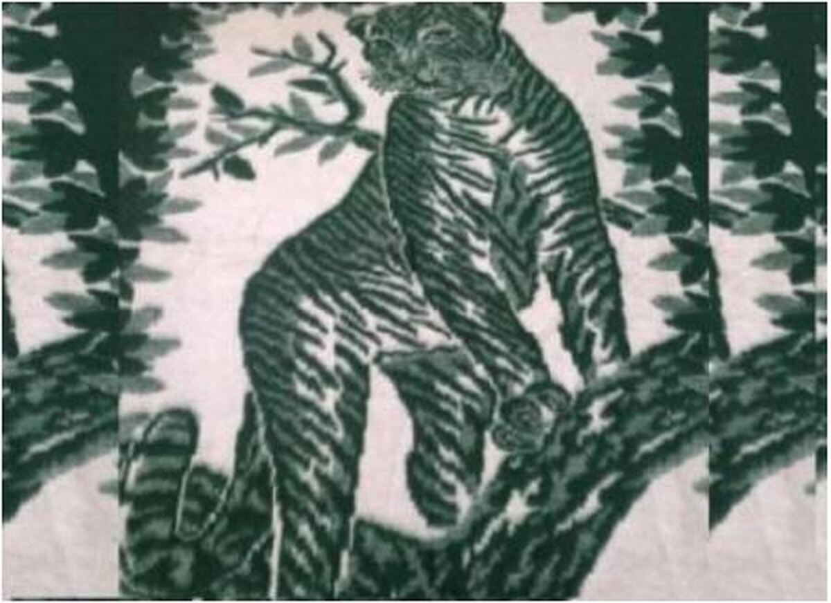 پتو پلنگی چگونه به خانه‌های ایرانی راه پیدا کرد؟ /علت مد شدن این پتوی نوستالژی پیدا شد!