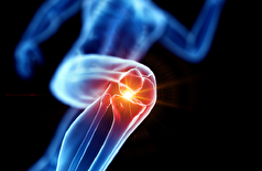 نکات ضروری برای حفظ سلامت و استحکام استخوان‌ها