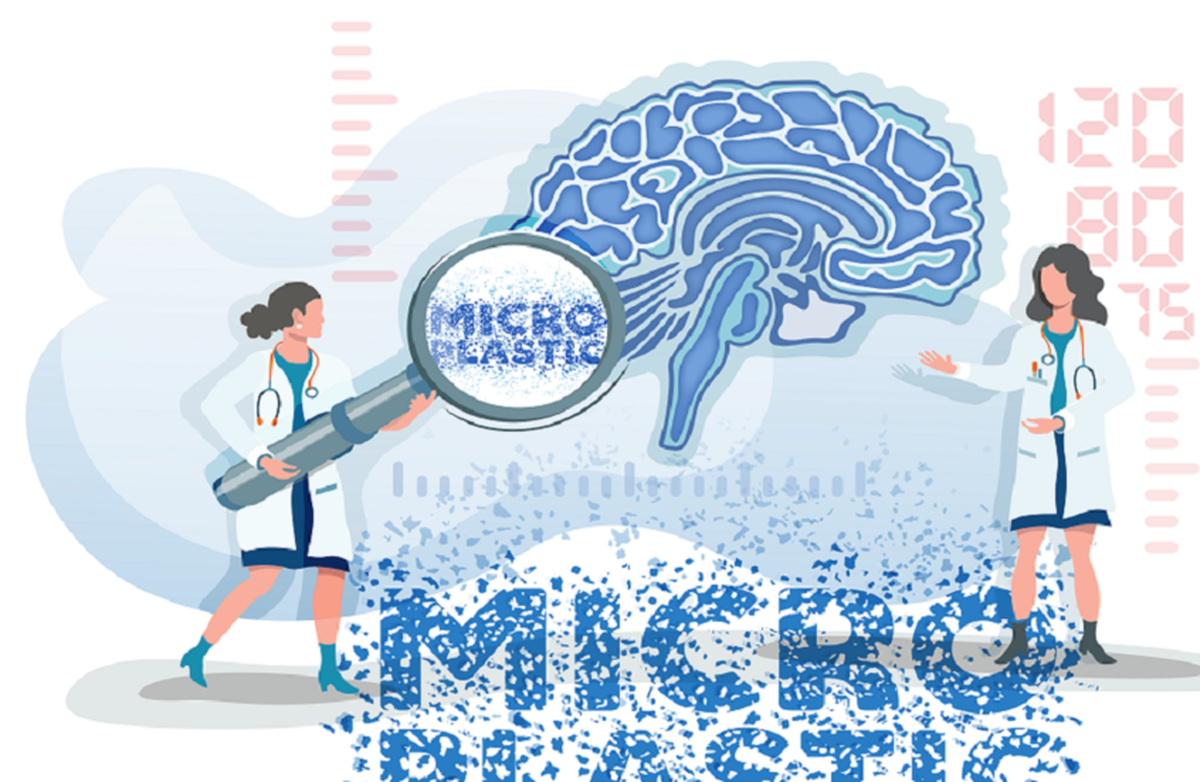 ۵ اثر جدی میکروپلاستیک‌ها بر مغز