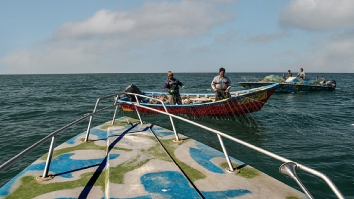 افزایش ۱۵ درصدی صید از دریای خزر