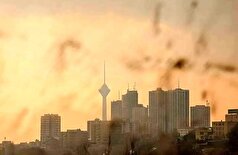 مسئله مرگ به دلیل آلودگی هوا صحت دارد؟