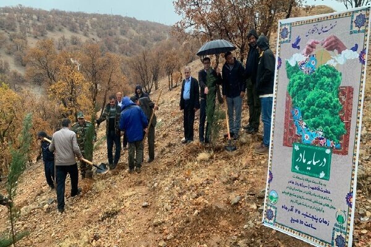 کهگیلویه و بویراحمدی‌ها زیر باران به نام مادر نهال کاشتند