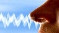 اگر حس بویایی تان کاهش یافته است بخوانید!