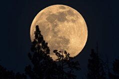 دانشمندان توضیح داده‌اند که چرا عکس گرفتن از ماه با تلفن همراه تا این حد دشوار است.