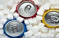 دانشمندان: فروکتوز پاسخ سیستم ایمنی به التهاب را تقویت می‌کند