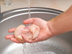 دانشمندان توضیح داده‌اند که چرا نباید مرغ خام را قبل از پختن بشویید