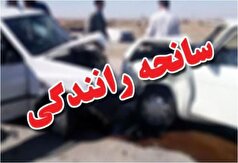 حادثه واژگونی خودروی شوتی با ۱۲ سرنشین، ۵ کشته داد