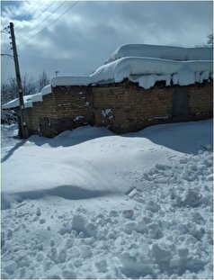 بارش نیم متری برف در این روستا مورد توجه قرار گرفت