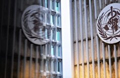 سازمان بهداشت جهانی تأکید می‌کند که هیچ ارتباطی بین واکسن‌ها و اوتیسم وجود ندارد