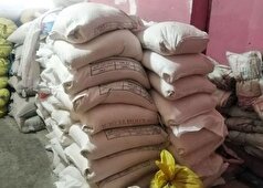 کشف ۱۶ تن مغز بادام قاچاق خارجی در دشتستان به ارزش بیش از ۱۰۰ میلیارد