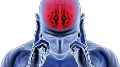 مغز انسان در خواب هم فعال است!