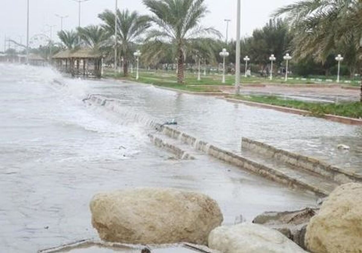 گناوه با 65 میلیمتر رکورددار بارندگی در استان بوشهر