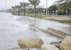 گناوه با 65 میلیمتر رکورددار بارندگی در استان بوشهر