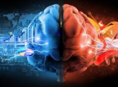 راهی تازه برای درمان اختلالات شناختی به کمک تغییر در سیناپس!