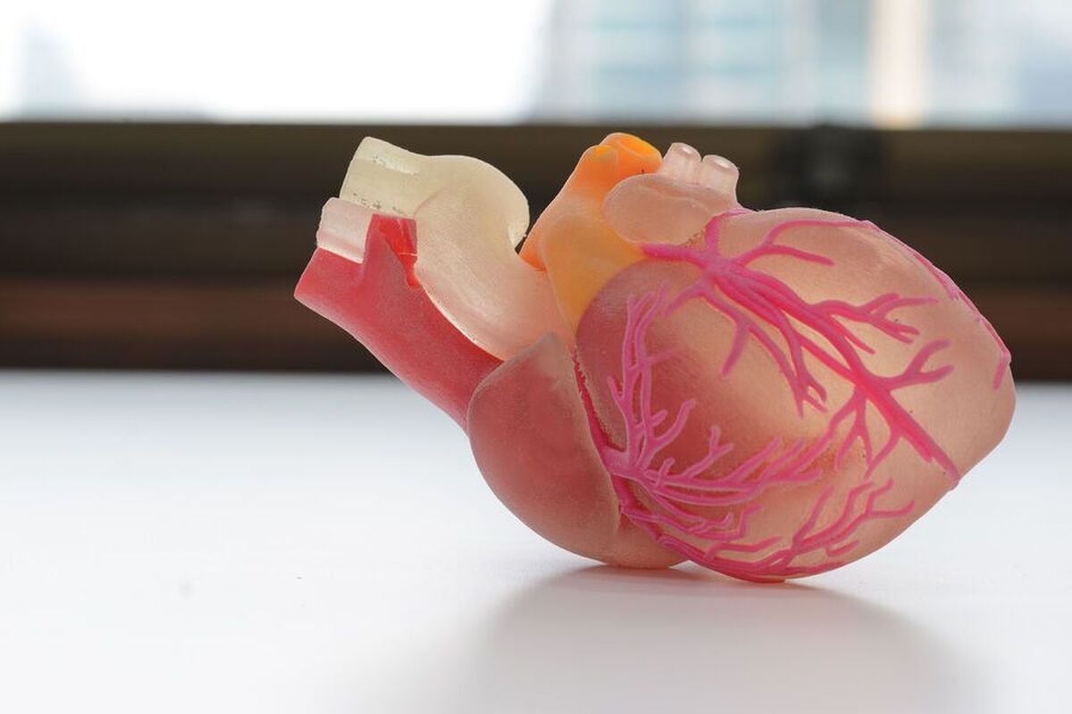 دانشمندان یک 