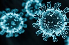 سازمان بهداشت جهانی: علائم طولانی‌مدت کووید-۱۹ همچنان یک مشکل جدی است