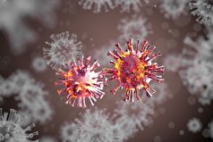 روس‌ها در مورد خطرات تزریق بوتاکس هشدار دادند