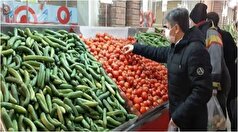 قیمت خیار با موز برابر شد!