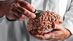 عضلات خوب مغز را جوان نگه میدارند!