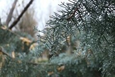 بارش‌های اخیر کم‌آبی کشور را جبران نمی‌کند