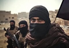 شورای عالی اسلامی علویان: شمار زیادی از نیرو‌های امنیتی سوریه داعشی هستتند