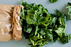 سبزیجات برگ‌داری که سوخت و ساز بدن را سرعت می‌بخشند، نامگذاری شدند