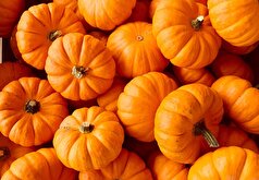 کدو تنبل به تقویت حافظه و توسعه هوش کمک می‌کند