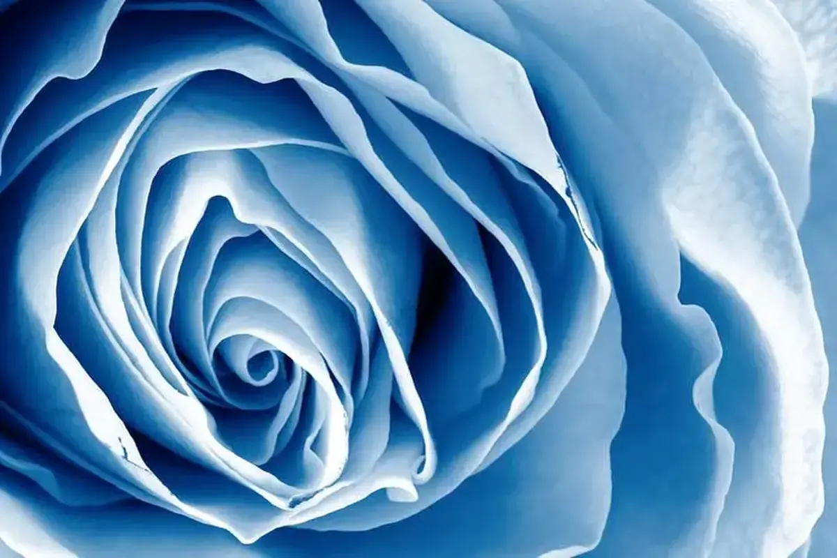 با معنای دقیق رنگ آبی در دنیای روانشناسی آشنا شوید!