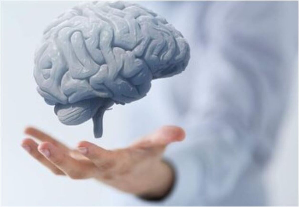 آلودگی هوا چه تاثیری بر ابتلا افراد به پیری زودرس مغز می‌گذارد؟