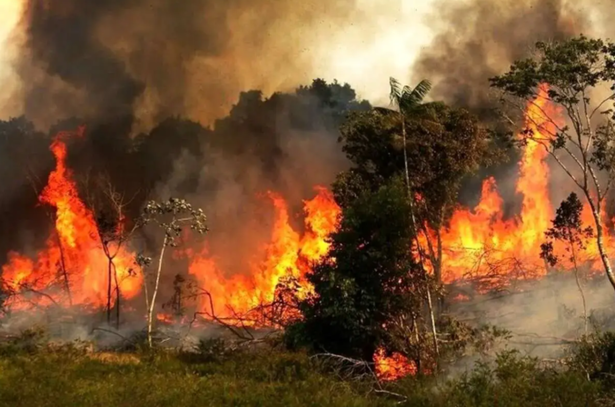 دستور جدید رئیس سازمان بازرسی در برخورد با عوامل آتش گرفتن جنگل‌های هیرکانی