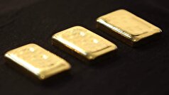 در تایلند، زنی به طور تصادفی شمش‌های طلا به ارزش تقریباً ۵ میلیون روبل را دور انداخت.