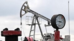 پوتین از پروژه‌های مشترک روسیه و چین در بخش سوخت و انرژی خبر داد.