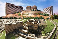 دانشگاه شیراز در شمار ۵۰۰ دانشگاه برتر جهان در رتبه‌بندی موضوعی شانگهای ۲۰۲۵