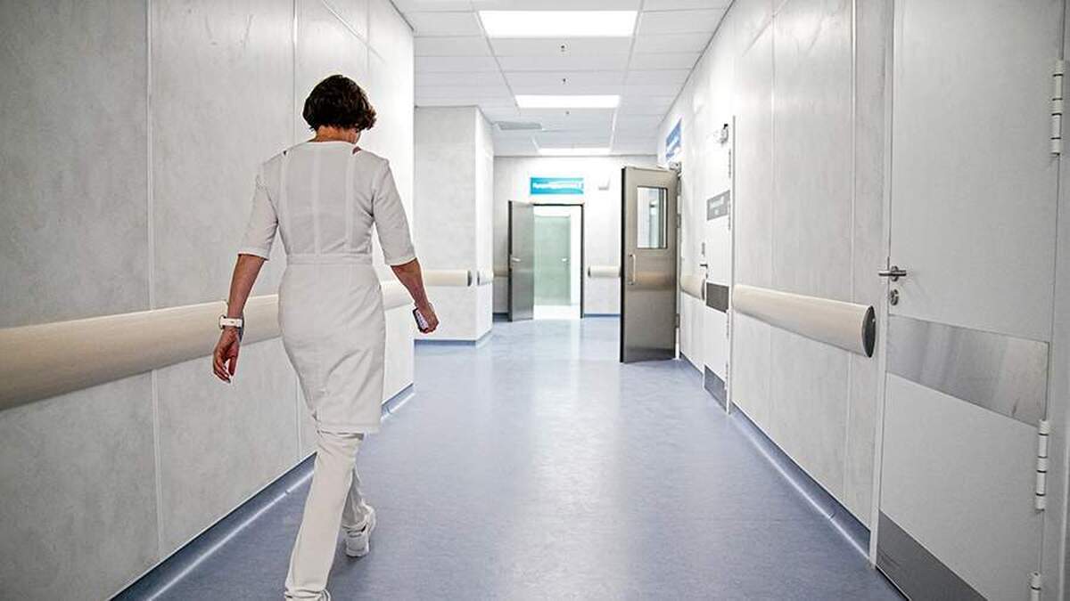 یک متخصص تغذیه، تاثیر رژیم غذایی بر عملکرد شناختی و حافظه را توضیح داد.