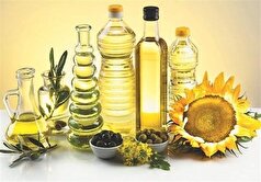 آغاز تصفیه و بسته‌بندی ۸ هزار تن روغن خام برای تنظیم بازار مازندران