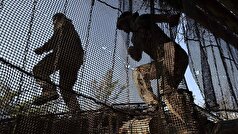 نیرو‌های مسلح اوکراین شروع به اعزام اوکراینی‌های تبعید شده از لهستان به خطوط مقدم کردند.