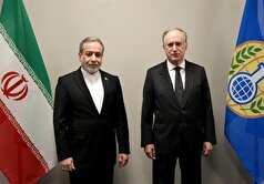 دیدار عراقچی با مدیرکل سازمان منع سلاح‌های شیمیایی