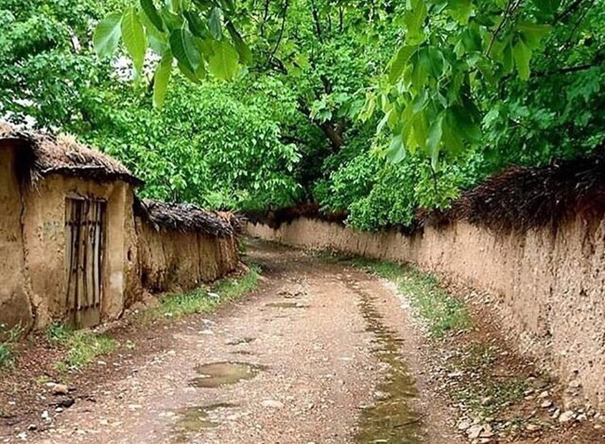 عضو شورای شهر: جلوگیری از ساخت‌وساز‌های غیرمجاز در باغ‌های قصردشت شیراز سرعت می‌گیرد