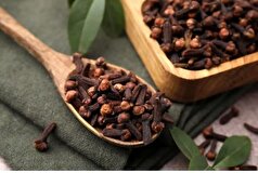 درمان خانگی پروستات با میخک