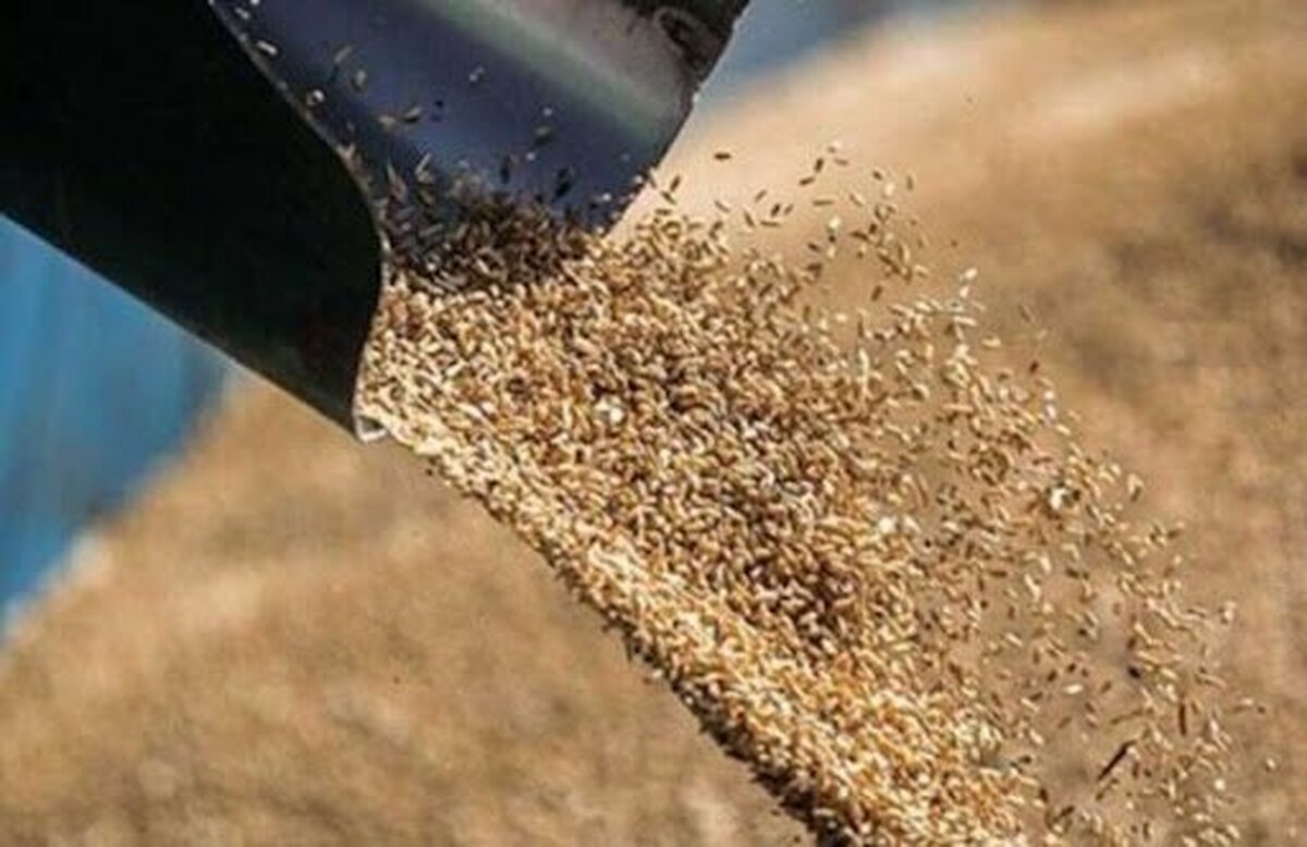 سهمیه نهاده دامی اختصاص یافته به عشایر خراسان شمالی کفاف نیاز را نمی‌دهد