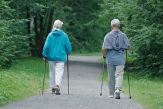 شرایطی شناسایی شده است که تحت آن ورزش سلامت مغز را بهبود می‌بخشد.